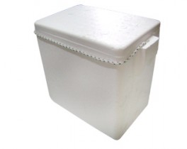 MASTROPOR CONSERV.10 BOT.44X29X44AL.C/MA CX2 PARADA