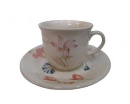 BIONA MAY TAZA DE TE C/PLATO CX12